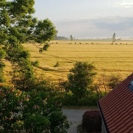 Haus Im Felde Whg 6 *
