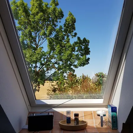 Appartement Haus Im Felde Whg 6 Fehmarn